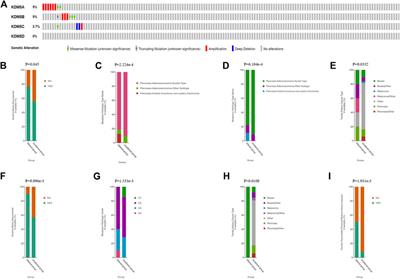 Expression, Prognostic Value, and Functional Mechanism of the KDM5 Family in Pancreatic Cancer